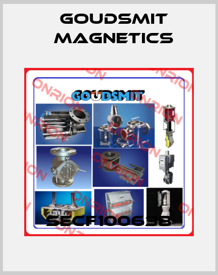 SECF100638 Goudsmit Magnetics