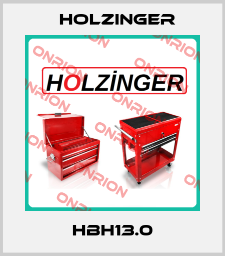 HBH13.0 holzinger