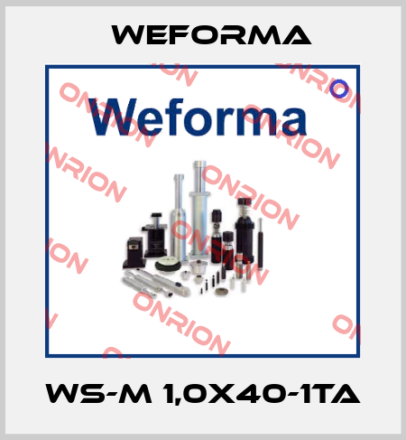 WS-M 1,0X40-1TA Weforma