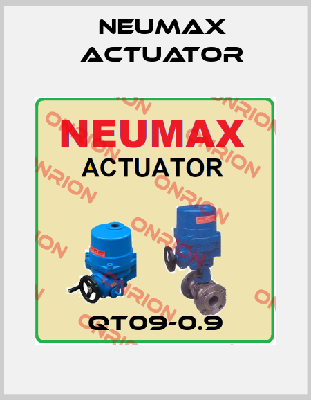 QT09-0.9 Neumax Actuator