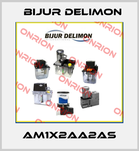 AM1X2AA2AS Bijur Delimon