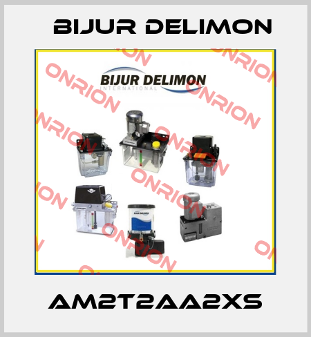 AM2T2AA2XS Bijur Delimon