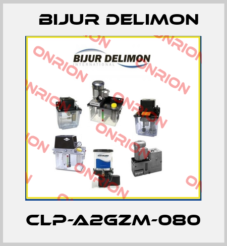 CLP-A2GZM-080 Bijur Delimon