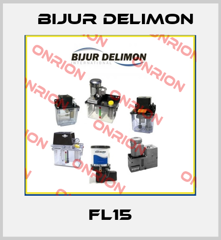 FL15 Bijur Delimon