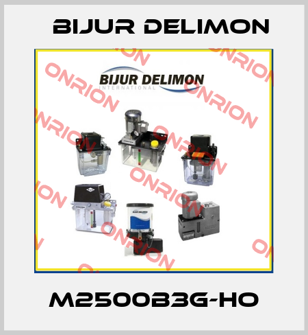 M2500B3G-HO Bijur Delimon