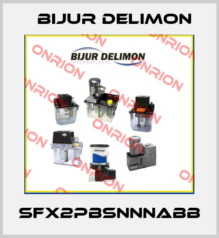 SFX2PBSNNNABB Bijur Delimon