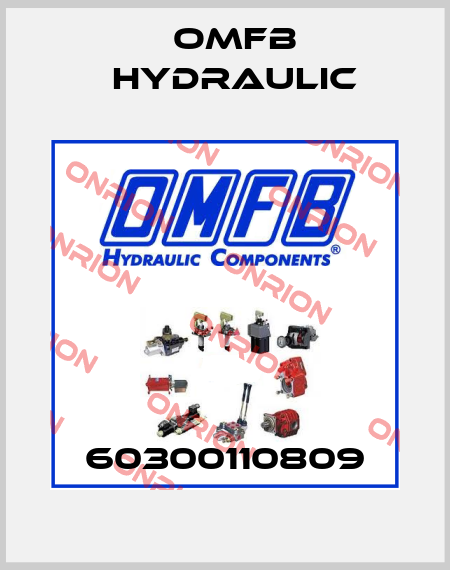 60300110809 OMFB Hydraulic