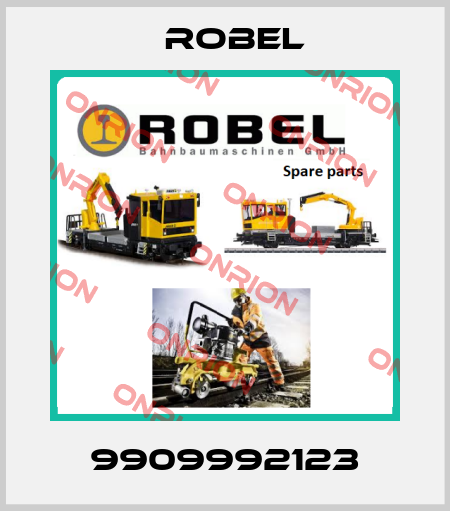 9909992123 Robel