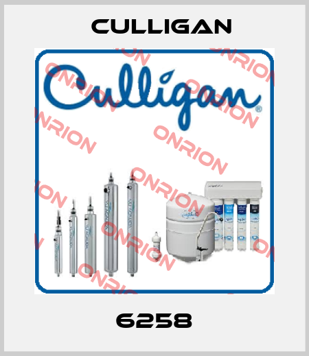 6258 Culligan