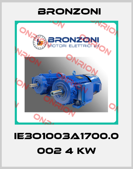 IE3O1003A1700.0 002 4 kW Bronzoni