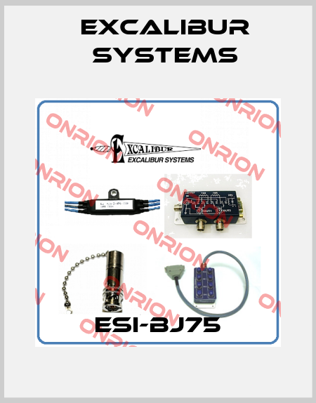 ESI-BJ75 Excalibur Systems