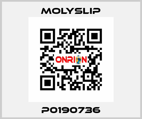 P0190736 Molyslip