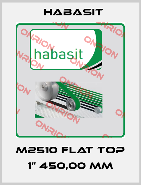 M2510 Flat Top 1" 450,00 mm Habasit