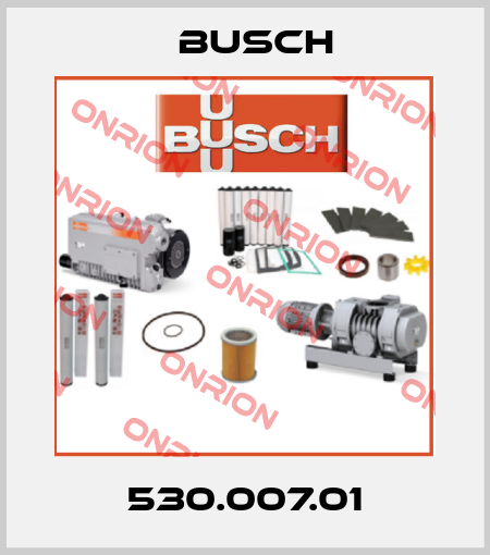 530.007.01 Busch