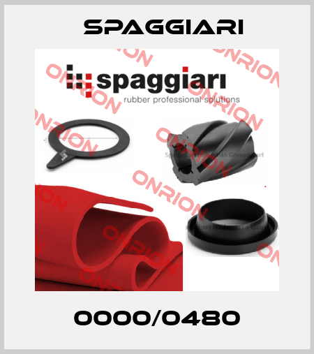 0000/0480 Spaggiari