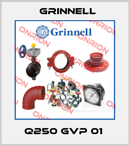 Q250 GVP 01  Grinnell