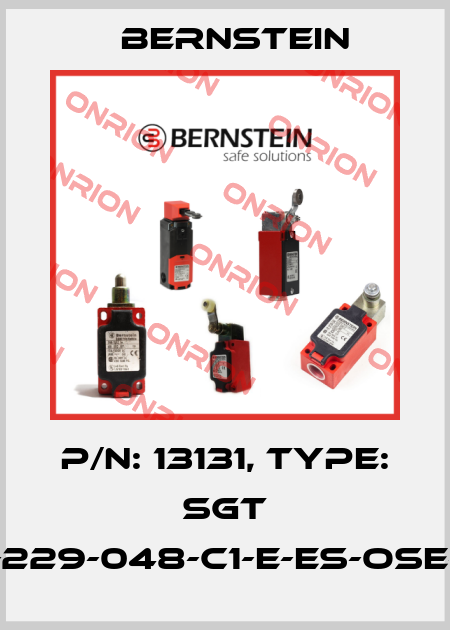 P/N: 13131, Type: SGT 15-229-048-C1-E-ES-OSE-15 Bernstein