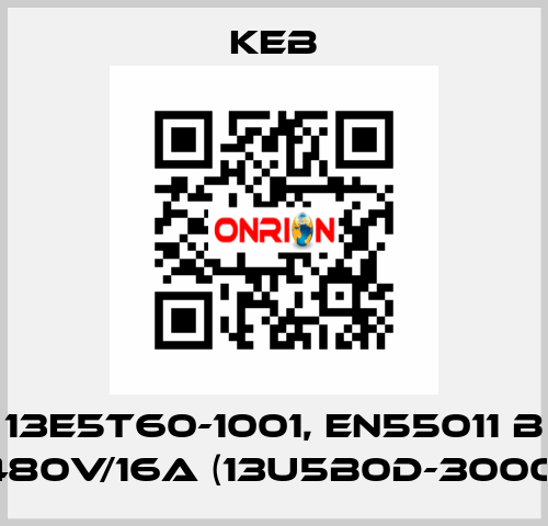 13E5T60-1001, EN55011 B 480V/16A (13U5B0D-3000) KEB