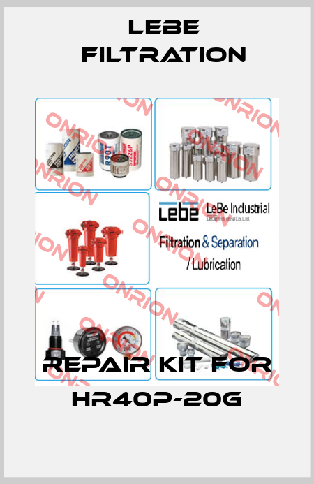 Repair kit for HR40P-20G Lebe Filtration