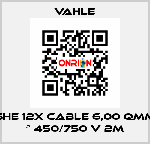 SHE 12x Cable 6,00 Qmm ² 450/750 V 2m Vahle