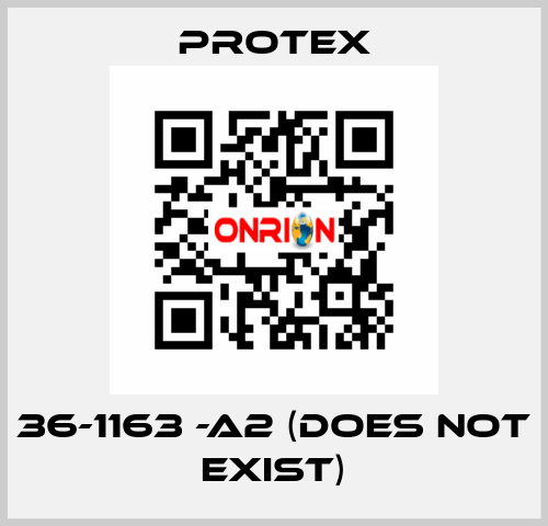 36-1163 -A2 (DOES NOT EXIST) Protex