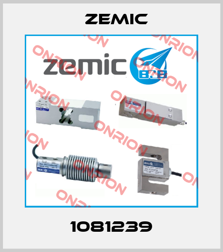 1081239 ZEMIC