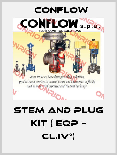 STEM AND PLUG KIT ( EQP – CL.IV°) CONFLOW
