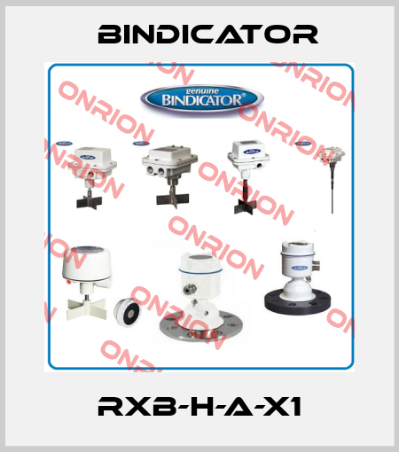 RXB-H-A-X1 Bindicator