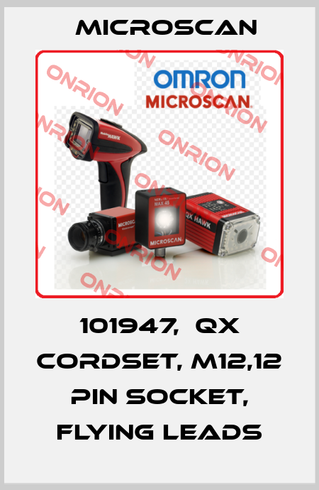 101947,  QX Cordset, M12,12 pin Socket, Flying leads Microscan