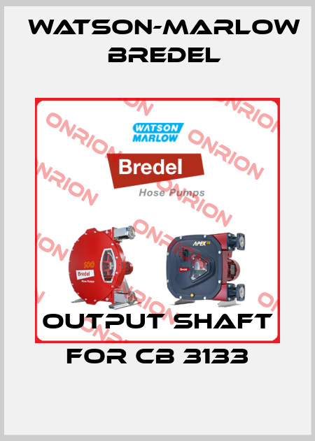 OUTPUT SHAFT FOR CB 3133 Watson-Marlow Bredel