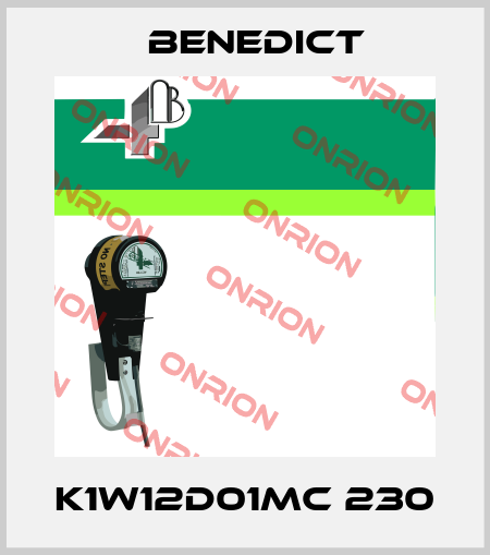 K1W12D01MC 230 Benedict