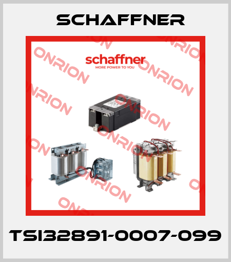TSI32891-0007-099 Schaffner