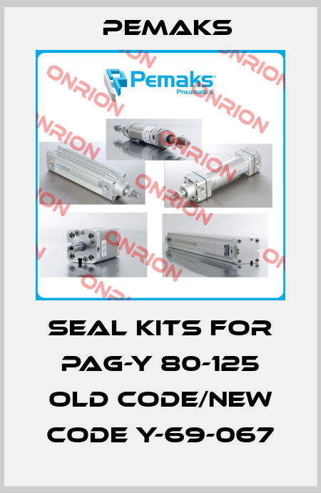 Seal kits for PAG-Y 80-125 old code/new code Y-69-067 Pemaks