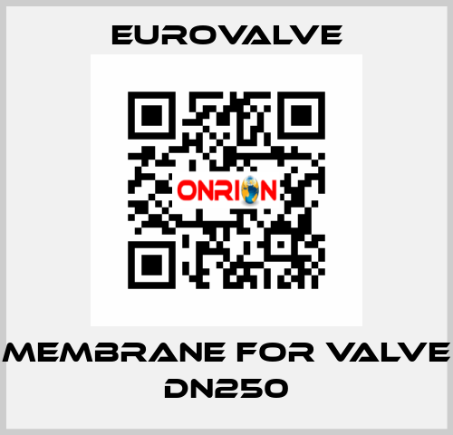 membrane for valve DN250 Eurovalve