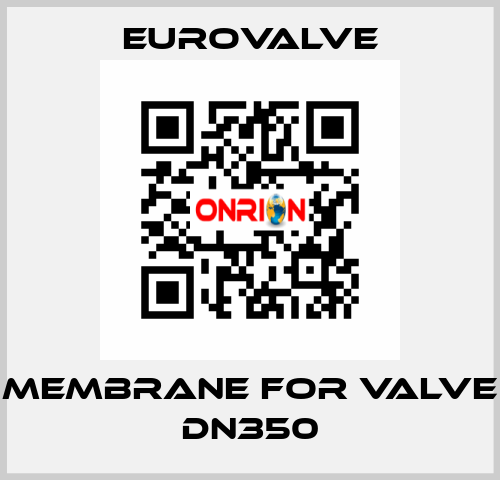 membrane for valve DN350 Eurovalve