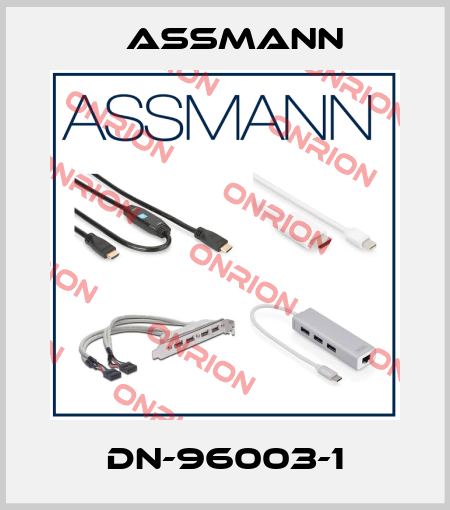 DN-96003-1 Assmann