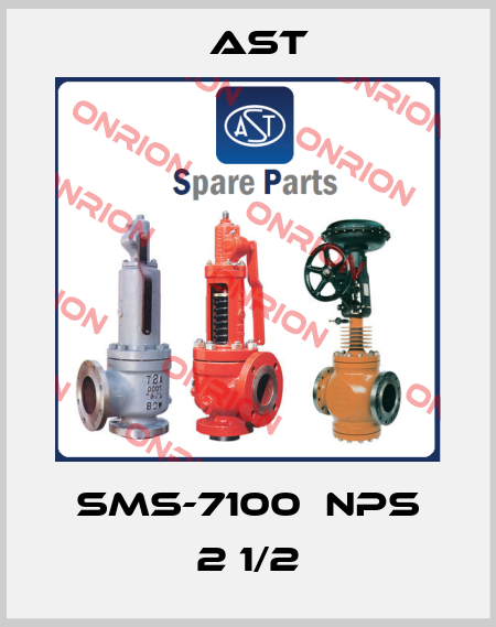 SMS-7100  NPS 2 1/2 AST