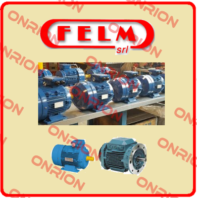 Revision kit for FA2-100L-2 Felm