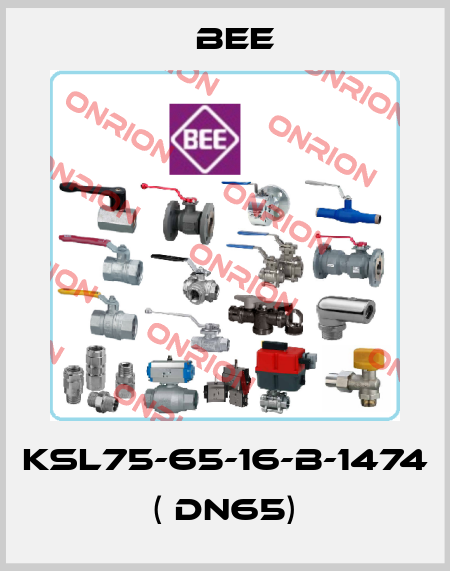 KSL75-65-16-B-1474 ( DN65) BEE