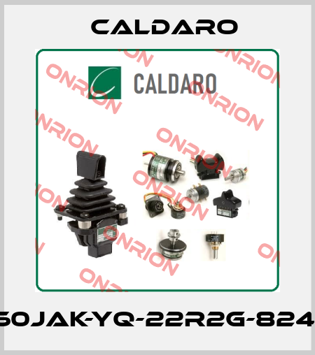 S60JAK-YQ-22R2G-8241C Caldaro