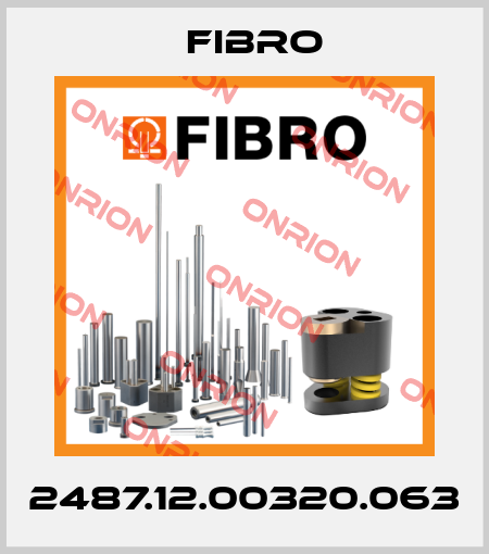 2487.12.00320.063 Fibro