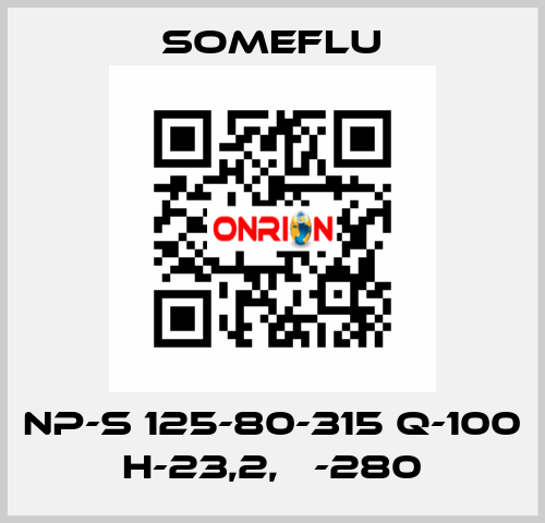 NP-S 125-80-315 Q-100 H-23,2, Ф-280 SOMEFLU