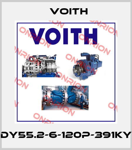 DY55.2-6-120P-391KY Voith