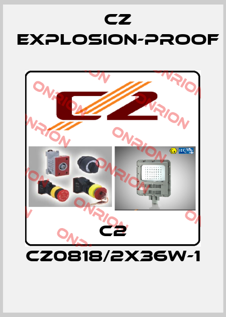 C2 CZ0818/2X36W-1 CZ Explosion-proof
