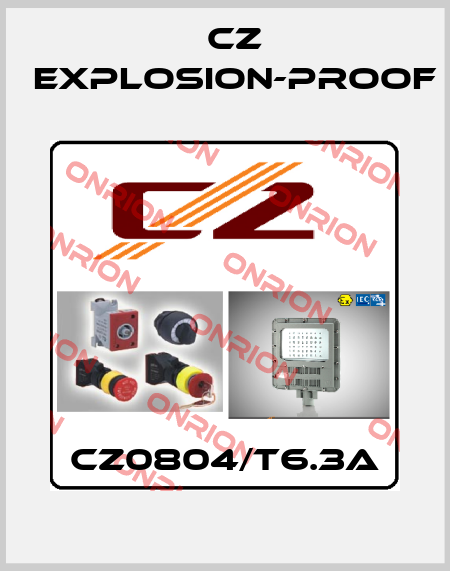 CZ0804/T6.3A CZ Explosion-proof
