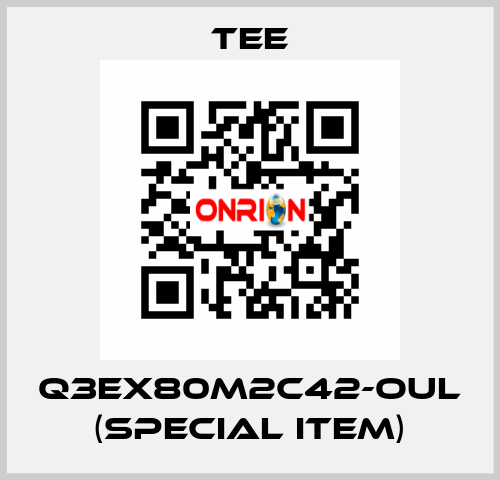 Q3EX80M2C42-OUL (special item) TEE