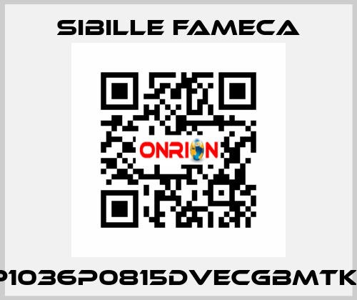 VDP1036P0815DVECGBMTKRI1T Sibille Fameca