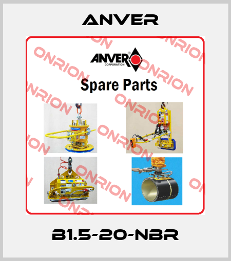 B1.5-20-NBR Anver