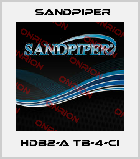 HDB2-A TB-4-CI Sandpiper