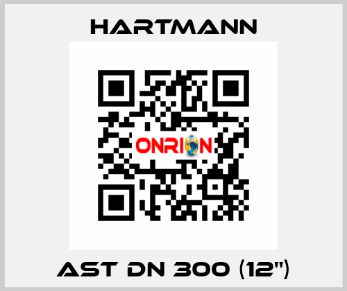 AST DN 300 (12") Hartmann